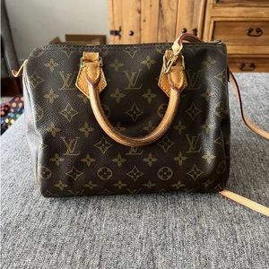 Louis Vuitton Vintage Handbag